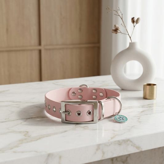 Collier pour chien rose baby pink 25mm waterproof fait main à Marseille — L'Atelier du Chien Français