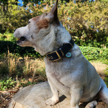 Collier pour chien bleu nuit 25mm waterproof fait main à Marseille — L'Atelier du Chien Français