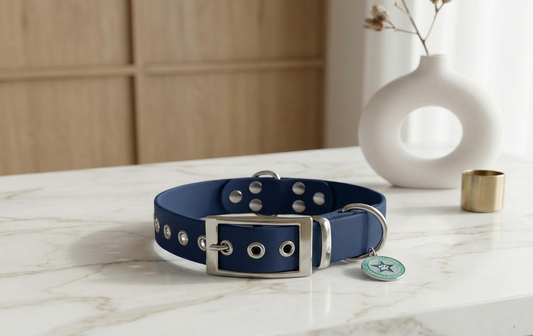 Collier pour chien bleu nuit 25mm waterproof fait main à Marseille — L'Atelier du Chien Français
