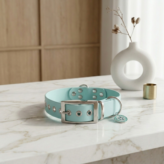 Collier pour chien bleu pastel 25mm waterproof fait main à Marseille — L'Atelier du Chien Français