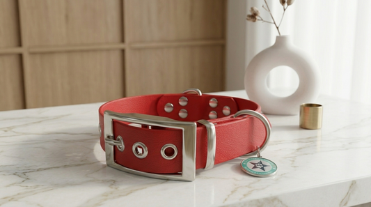 Collier pour chien cerise 25mm waterproof fait main à Marseille — L'Atelier du Chien Français