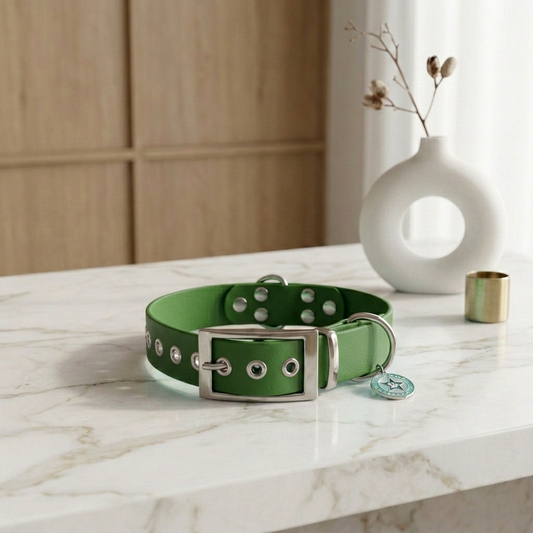 Collier pour chien vert olive 25mm waterproof fait main à Marseille — L'Atelier du Chien Français