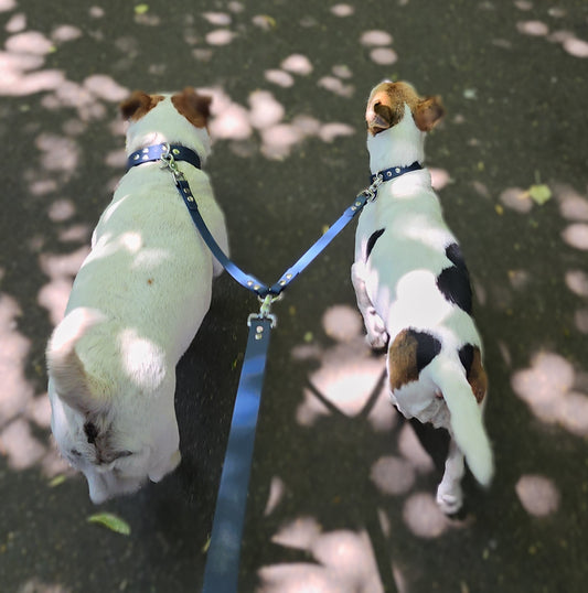 Coupleur de laisse pour chien bleu nuit 16mm lili & nelson waterproof fait main à Marseille — l'Atelier du Chien Français