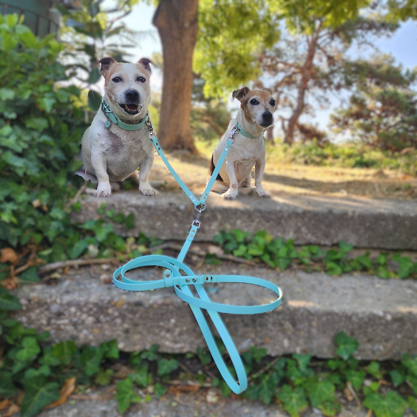 Coupleur de laisse pour chien bleu pastel 16mm lili & nelson waterproof fait main à Marseille — L'Atelier du Chien Français