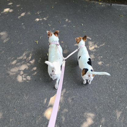 Coupleur de laisse pour chien rose baby pink 16mm lili & nelson waterproof fait main à Marseille — l'Atelier du Chien Français