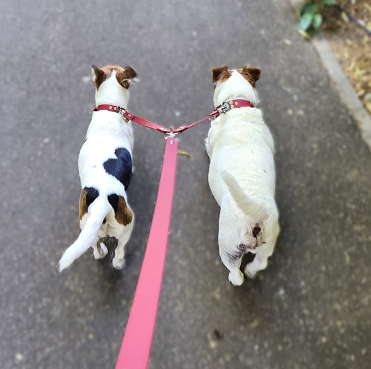 Coupleur de laisse pour chien rouge cerise 16mm lili & nelson waterproof fait main à Marseille — l'Atelier du Chien Français