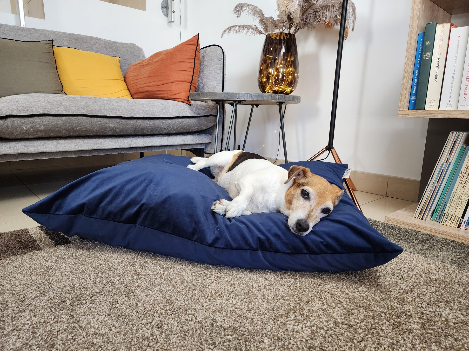 Coussin chien lavable velours bleu nuit Medium compactable fait main à Marseille — L'Atelier du Chien Français