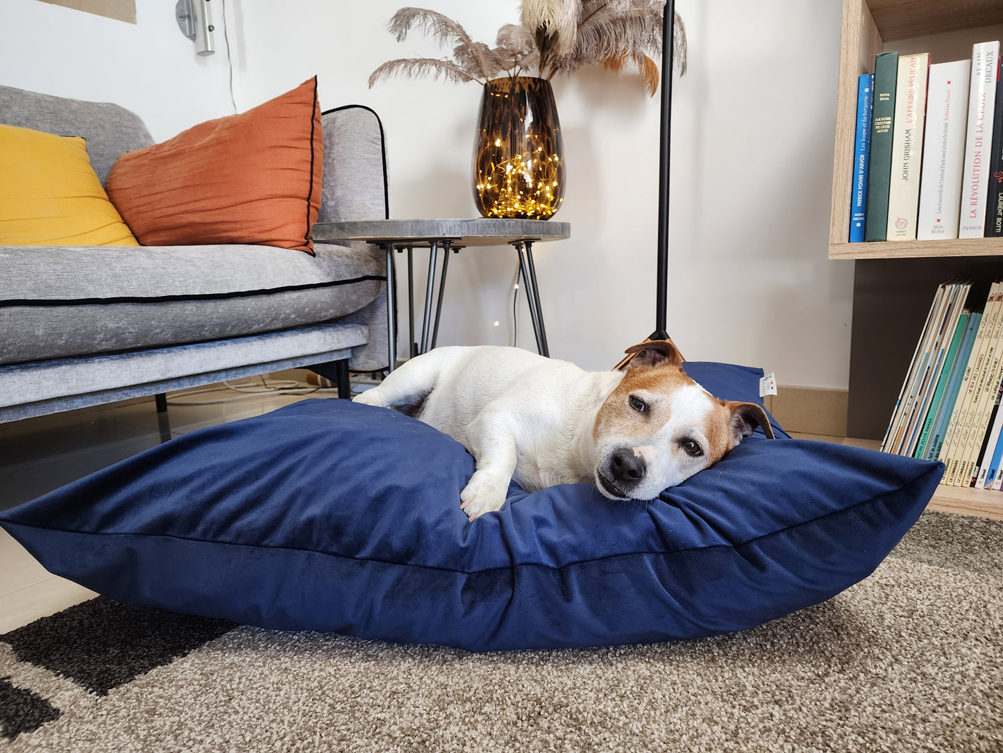 Coussin chien lavable velours bleu nuit medium compactable fait main à Marseille — L'Atelier du Chien Français