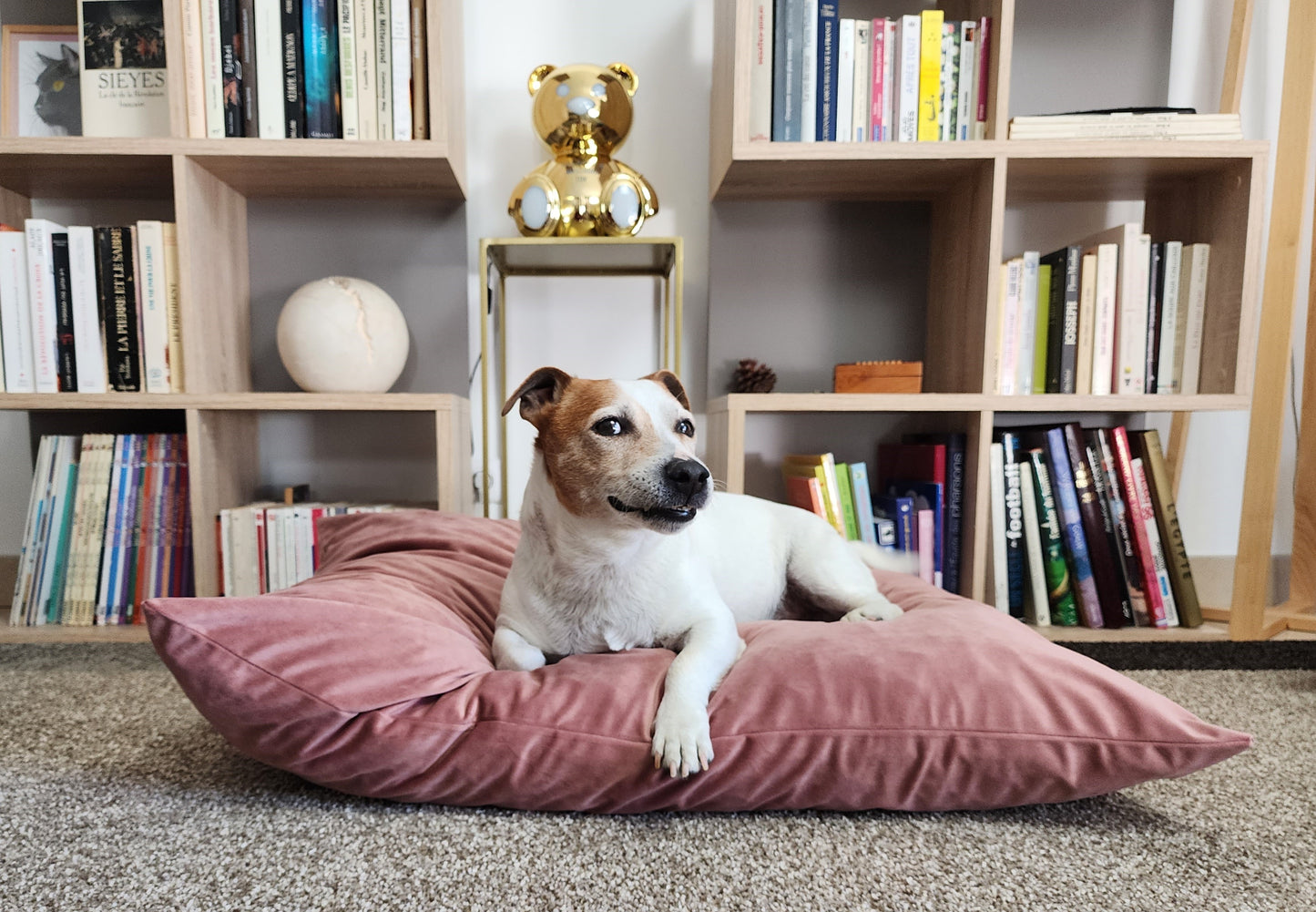 Coussin chien lavable velours bois de rose Medium compactable fait main à Marseille — L'Atelier du Chien Français
