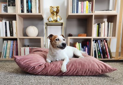 Coussin chien lavable velours bois de rose Medium compactable fait main à Marseille — L'Atelier du Chien Français