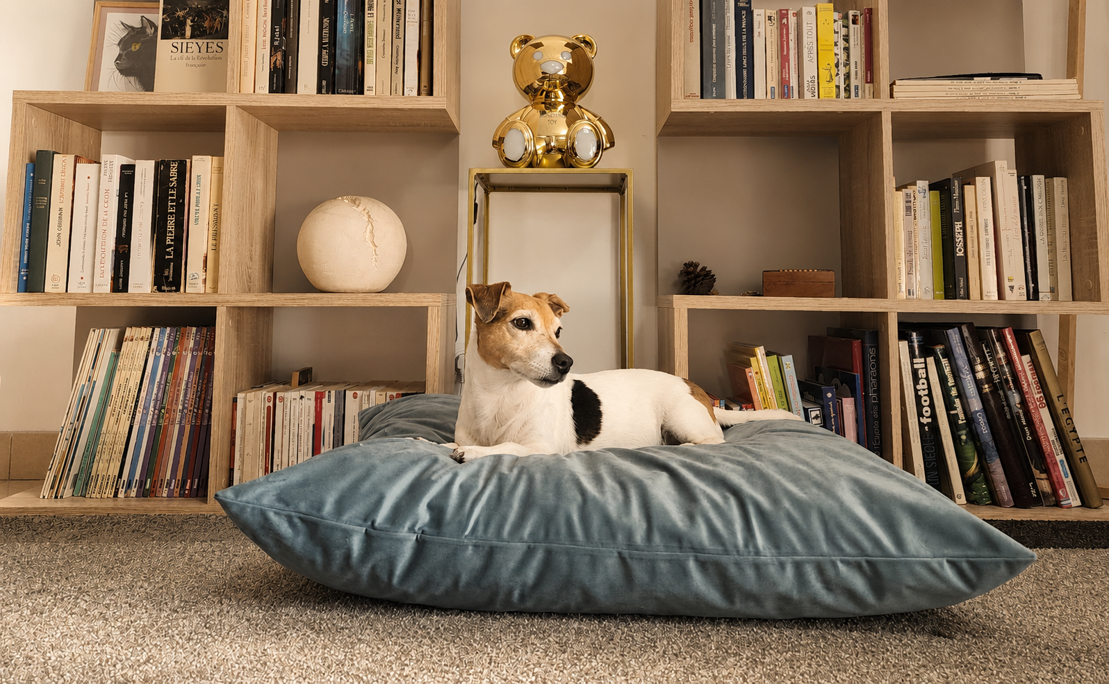 Coussin chien lavable velours celadon compactable fait main à Marseille — L'Atelier du Chien Français