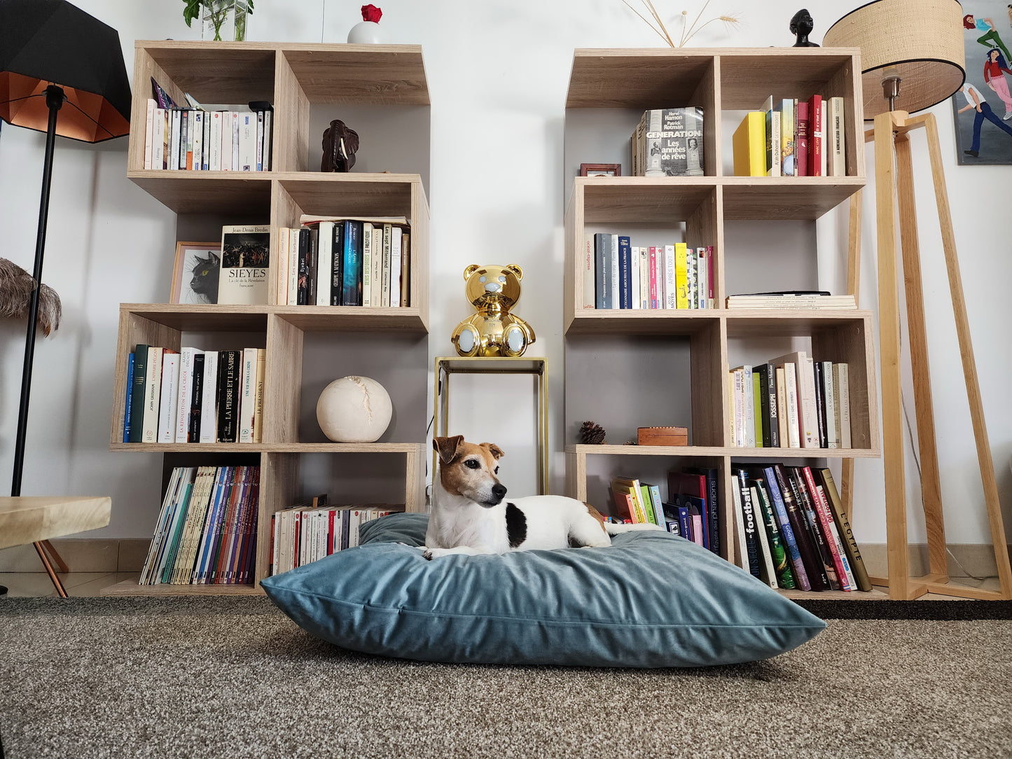 Coussin chien lavable velours celadon compactable fait main à Marseille — L'Atelier du Chien Français