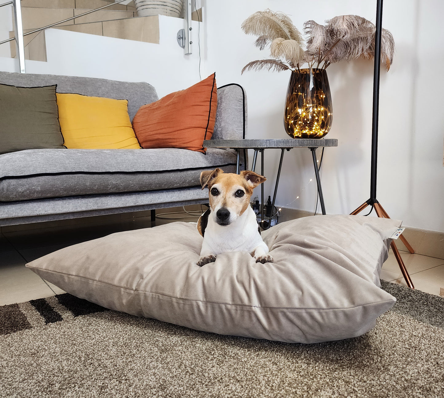 Coussin chien lavable velours taupe medium compactable fait main à Marseille — L'Atelier du Chien Français