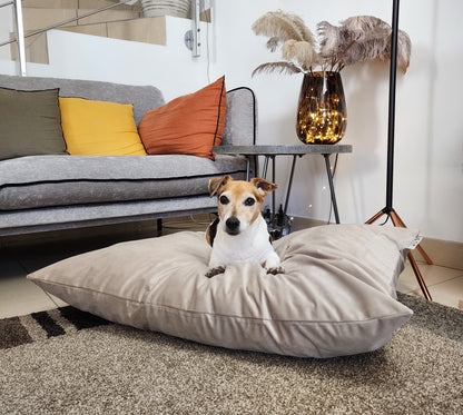 Coussin chien lavable velours taupe medium compactable fait main à Marseille — L'Atelier du Chien Français