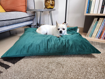 Coussin chien lavable velours vert sapin medium compactable fait main à Marseille — L'Atelier du Chien Français