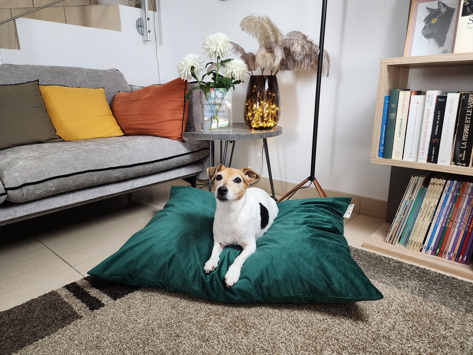 Coussin chien lavable velours vert sapin medium compactable fait main à Marseille — L'Atelier du Chien Français