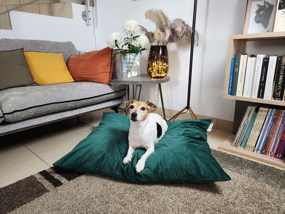 Coussin chien lavable velours vert sapin medium compactable fait main à Marseille — L'Atelier du Chien Français