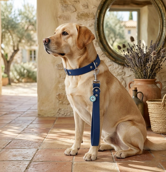 poignée pour chien labrador bleu nuit 25mm waterproof fait main à Marseille — L'Atelier du Chien Français