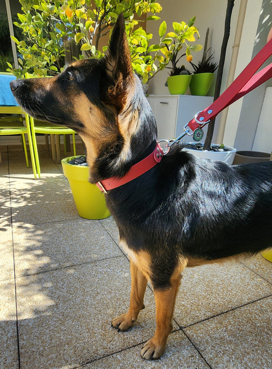 poignée pour chien rouge cerise 25mm waterproof fait main à Marseille — L'Atelier du Chien Français