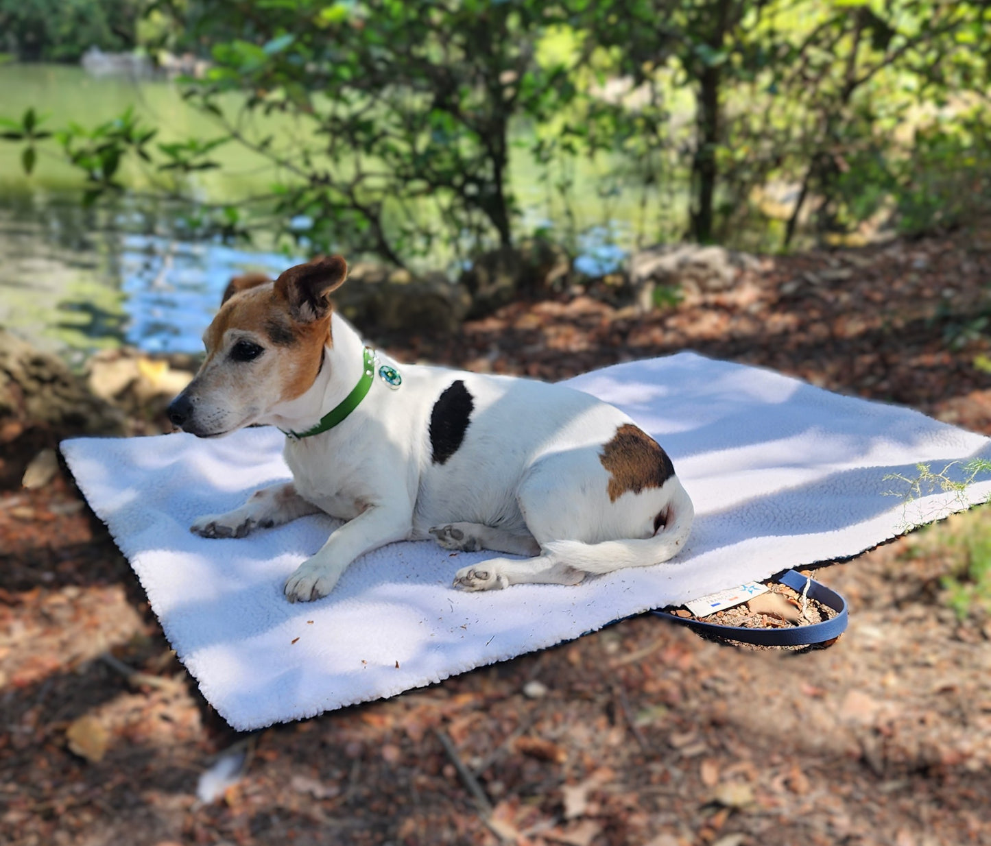 TAPIS DE VOYAGE BLEU