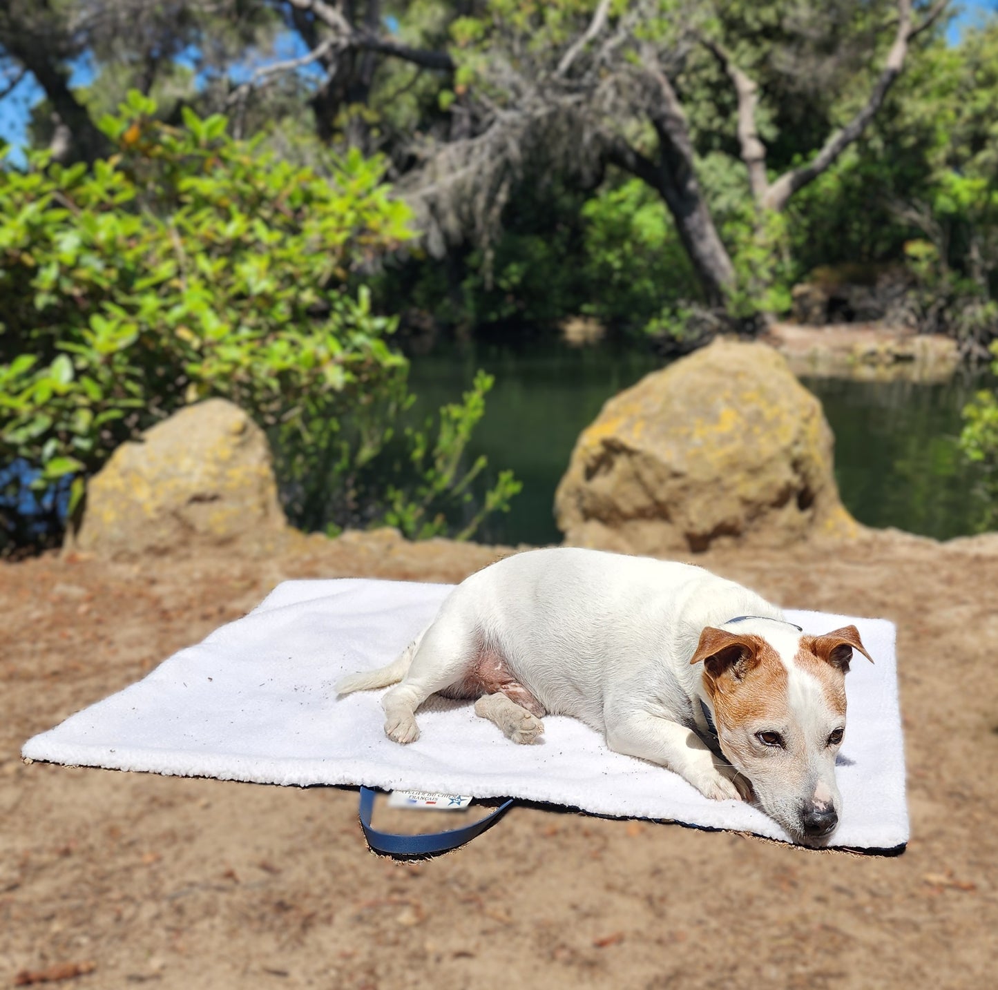 TAPIS DE VOYAGE BLEU